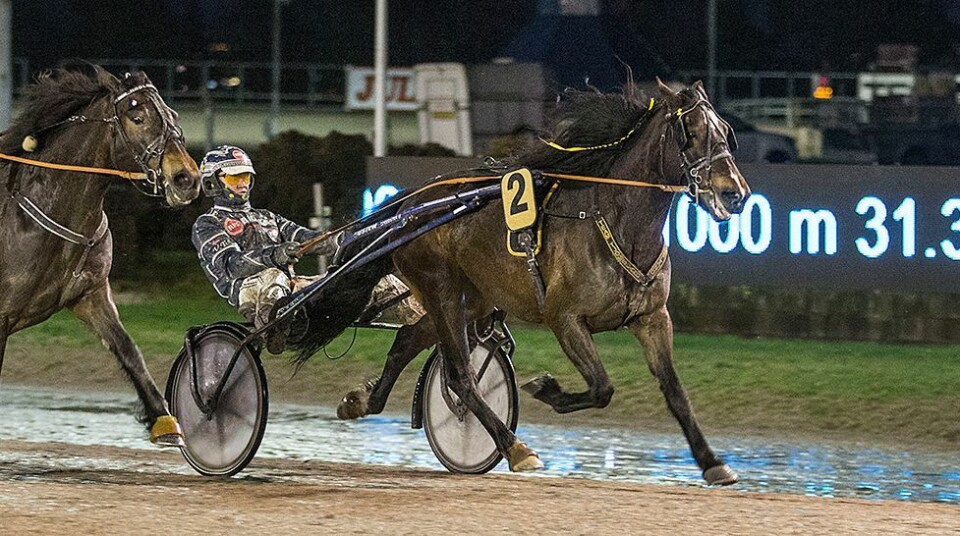Tjomsland hyllet «helt unik» hest