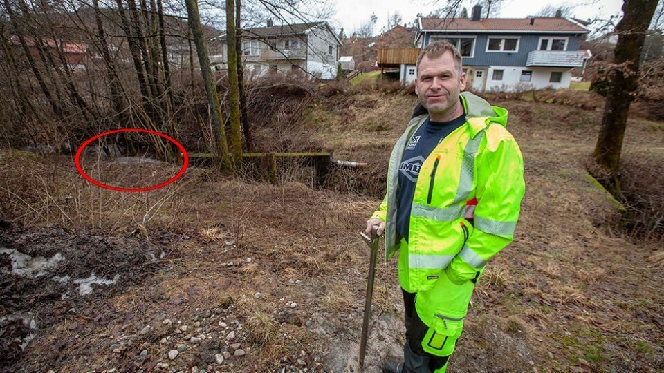 Her renner urenset kloakk ut i gytebekken