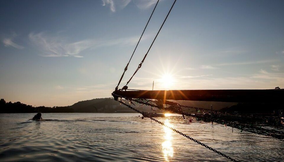 Værprognosen for 17. mai: Strålende solskinn