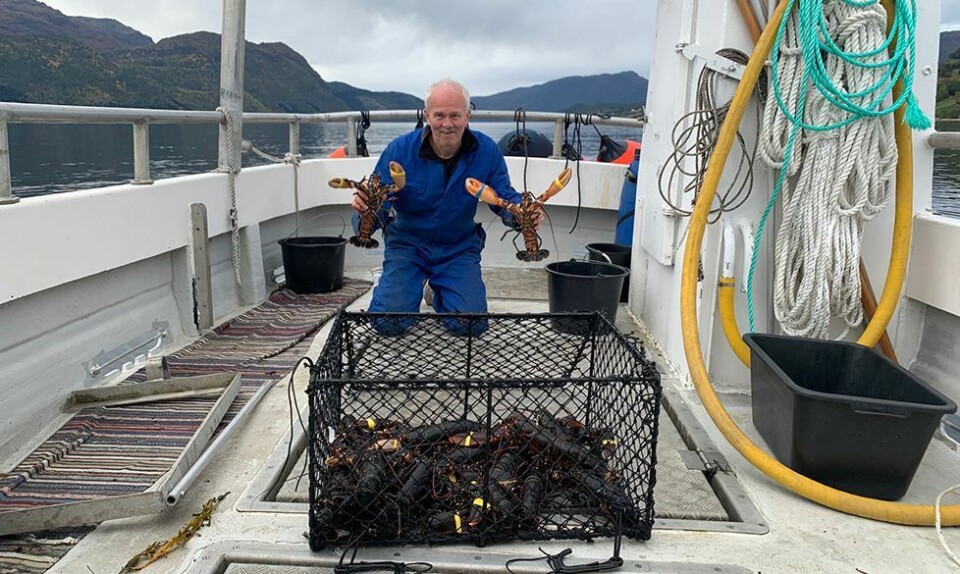 Flekkerøy-fisker tok med barnebarnet Elias (12) på hummerfiske til Nordfjord