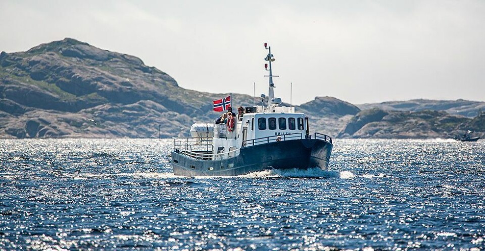 Finalen av «Alt for Norge» filmes i Ny-Hellesund