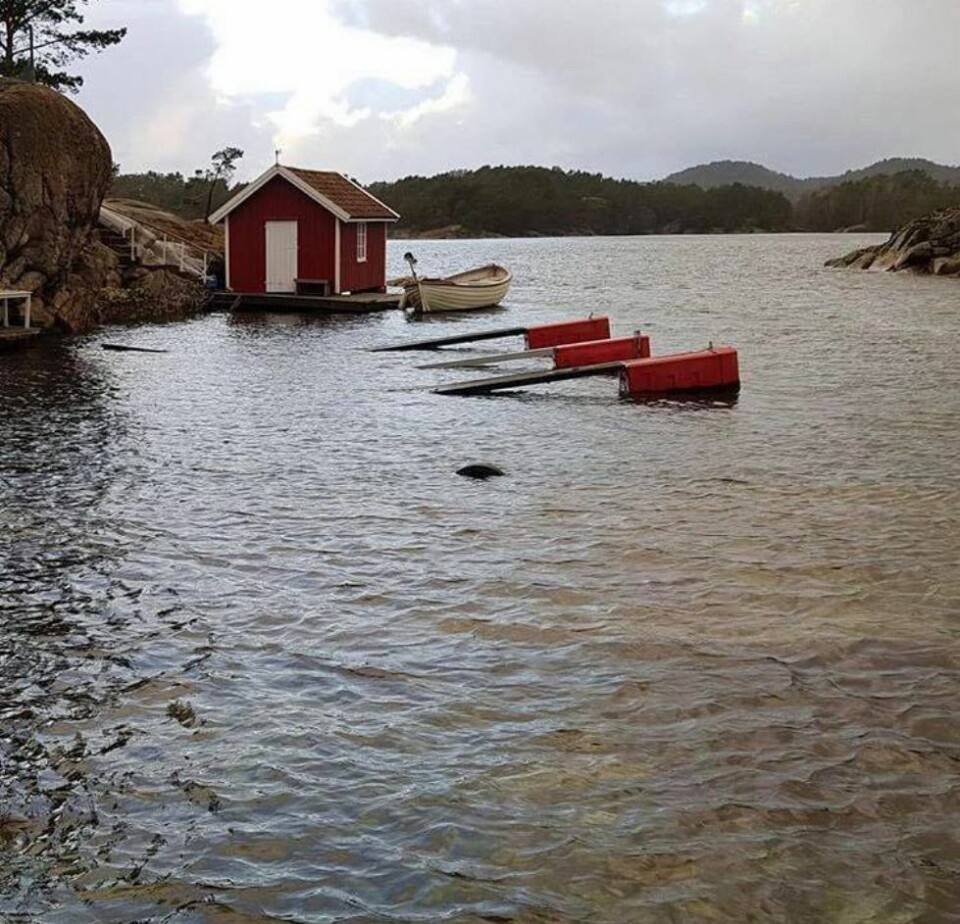 «Elsa » var snillere enn antatt