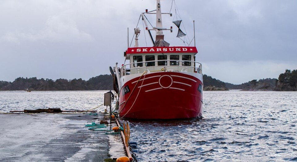 «Elsa » var snillere enn antatt