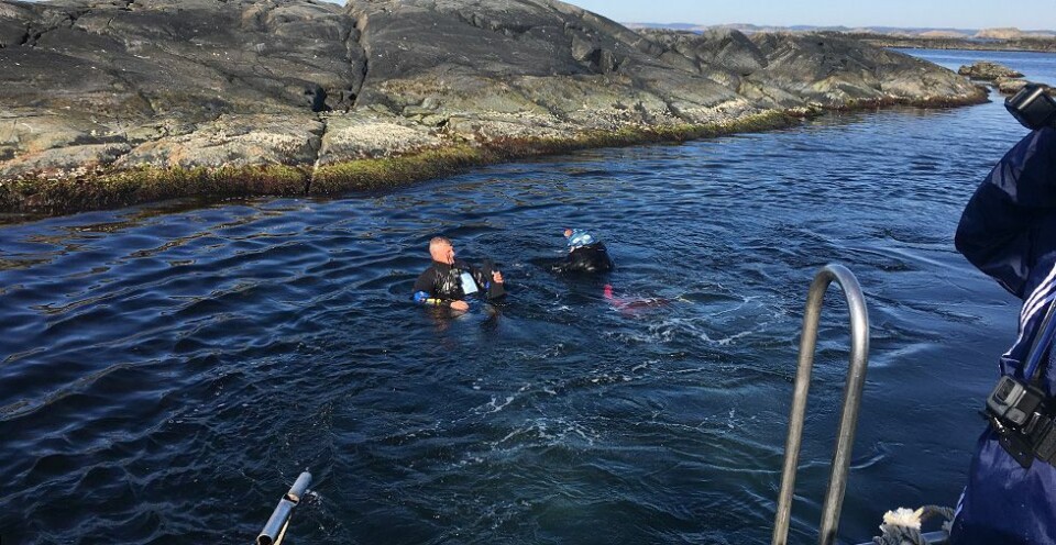 Stor redningsøvelse i skjærgården. Flere lokale markører