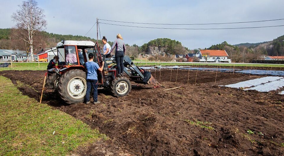 Samles til vennskapelig «kappleik»