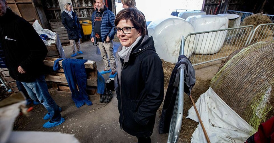 Samles til vennskapelig «kappleik»