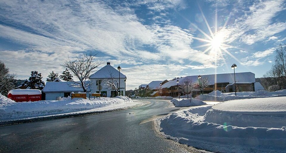 Folkehelseprofilen i Songdalen
