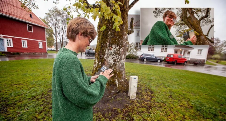 Kultursøndag: - Ta med mobilen til Søgne gamle prestegård