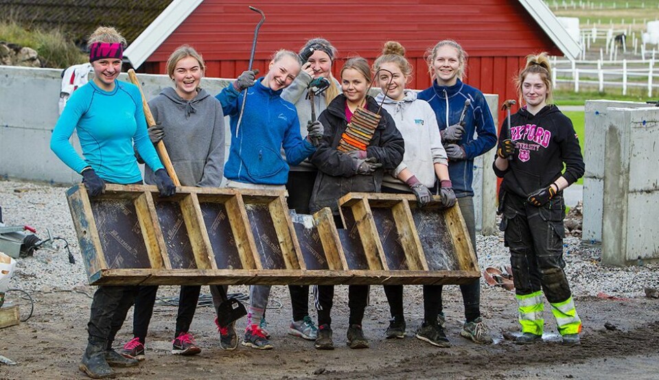 - De har godt av å lære seg hardt arbeid