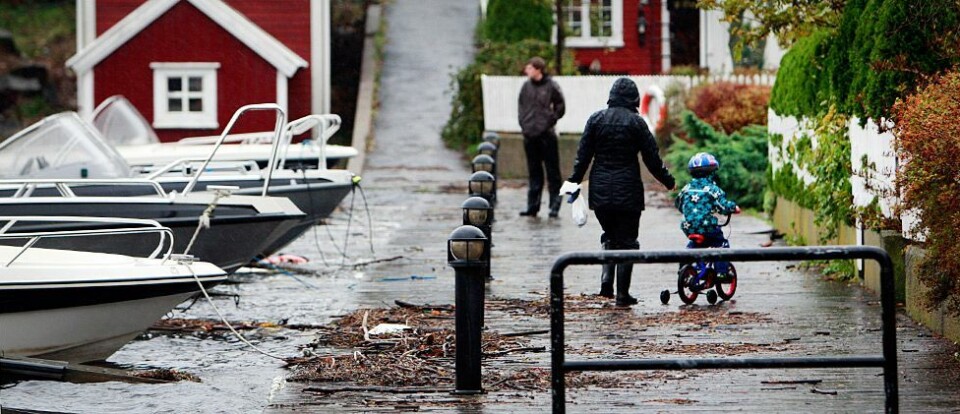 Mye regn søndag kveld