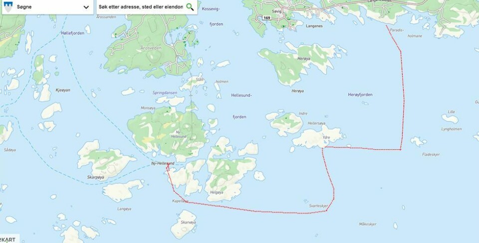 Fortsettelsen: Elgkua svømte 7,4 kilometer