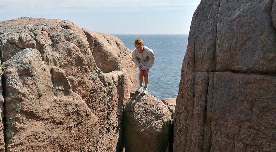 Er dette Søgnebolten?