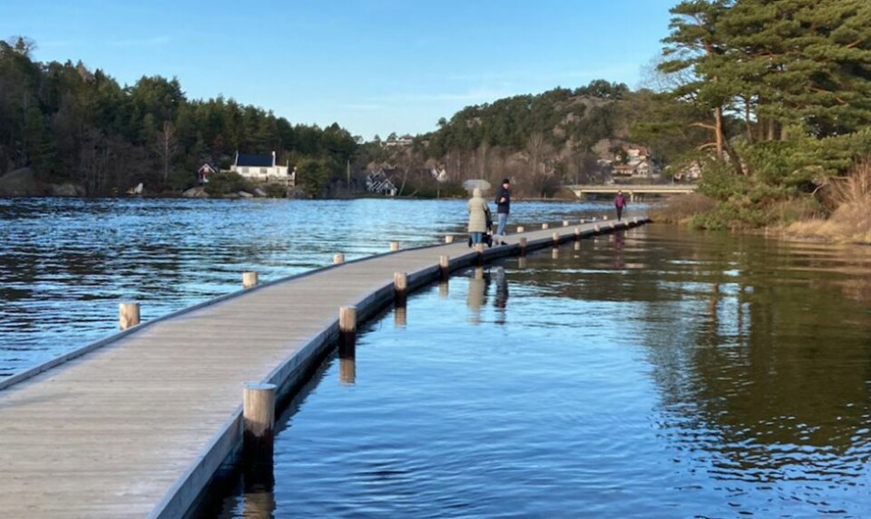 Høyvann søndag