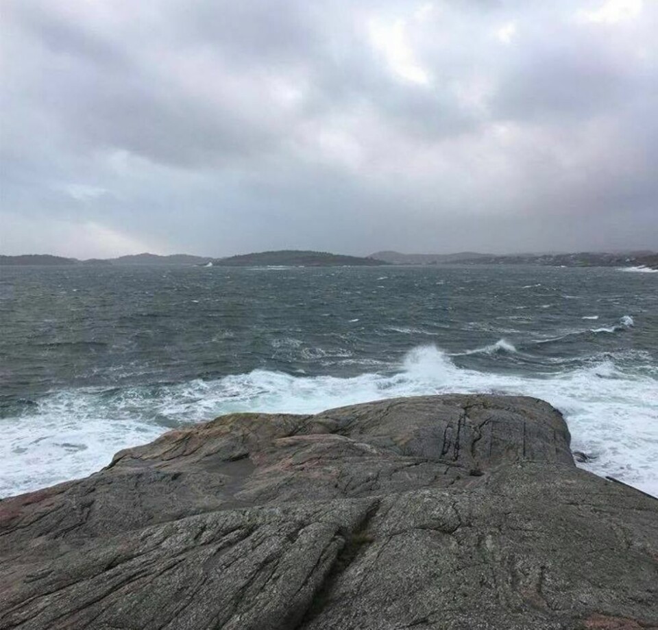 Dennis: Lesernes værbilder