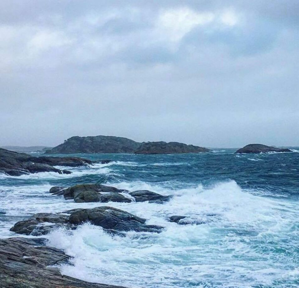 Dennis: Lesernes værbilder