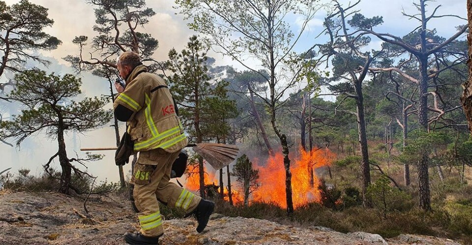 Fra i dag er det bålforbud, med visse uttak