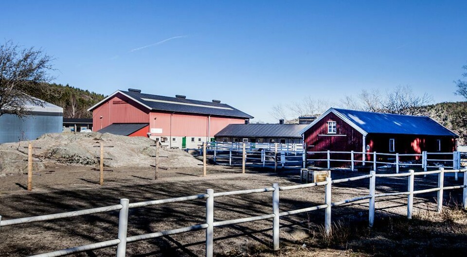 - Dropp fjøset