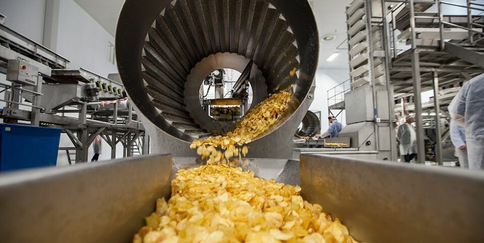 Starter ny chipsfabrikk på Mjåvann