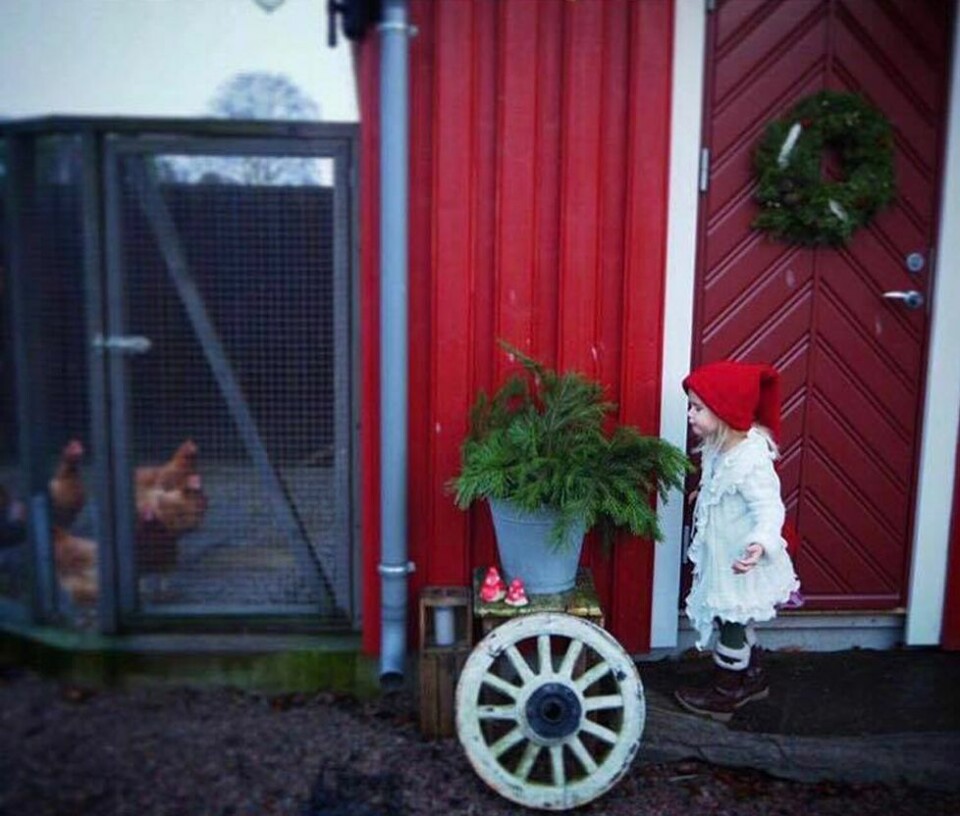 Dette er årets julebilde fra N247s lesere