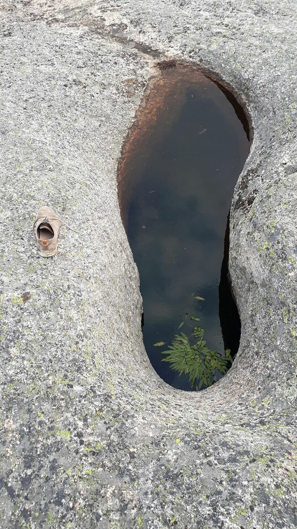 Hvem har trødd her?