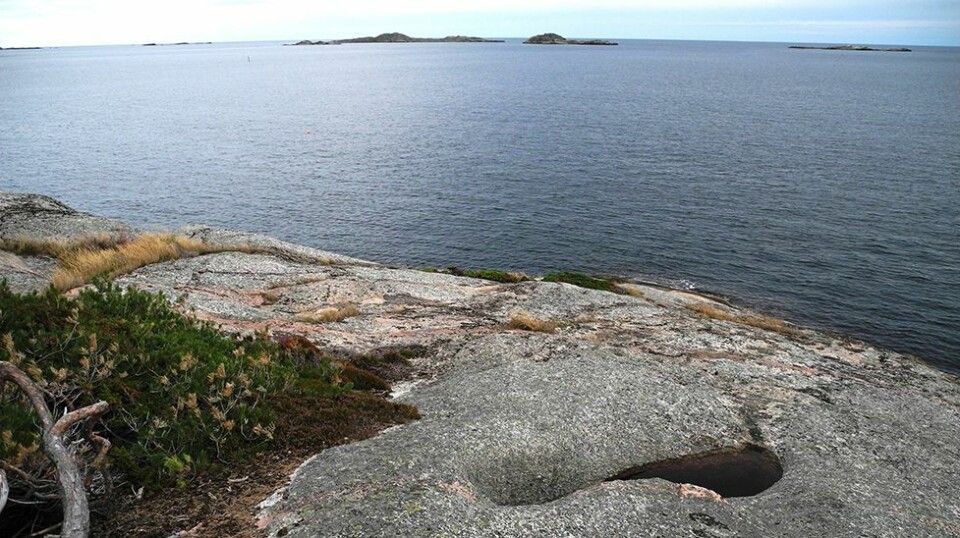 Hvem har trødd her?