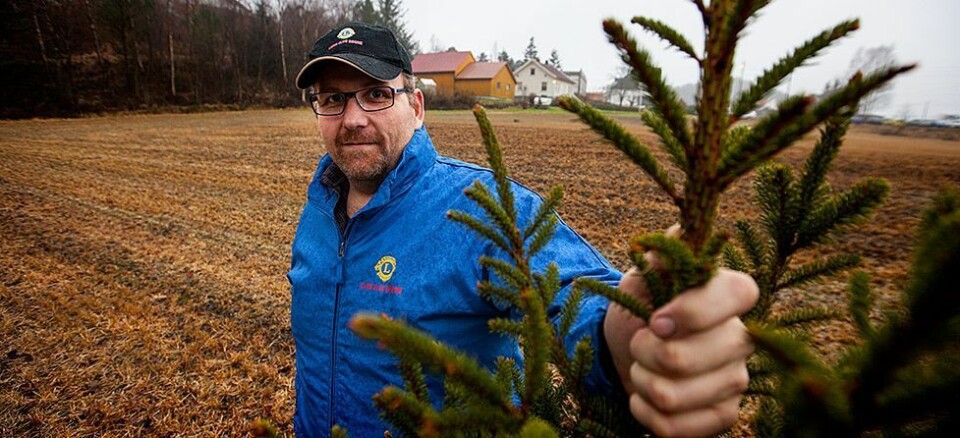 Ikke kvitt juletreet enda?