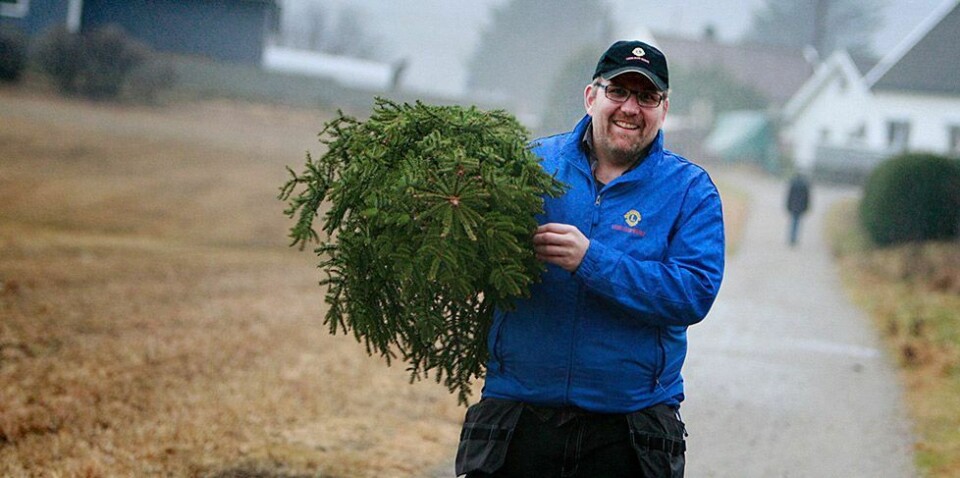Ikke kvitt juletreet enda?
