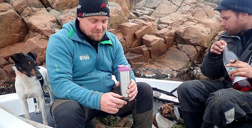 Minkjakt i Søgne-skjærgården april 2020