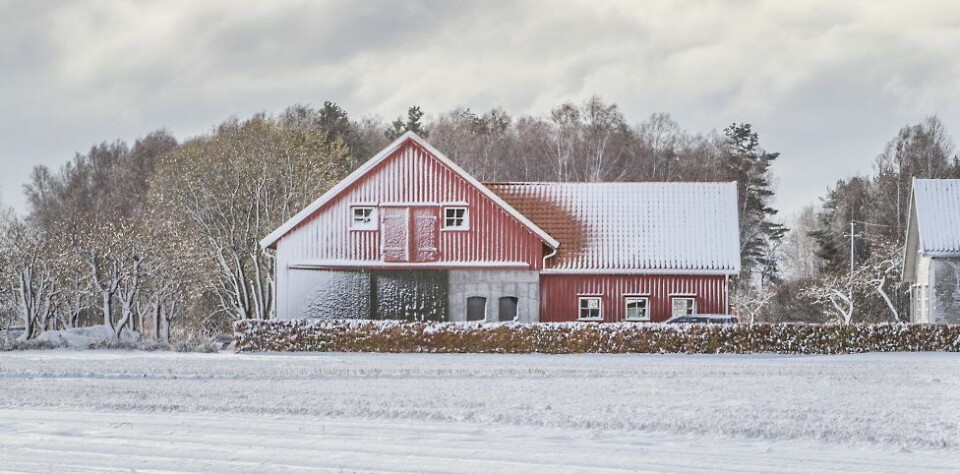 Vinterføre hele uka