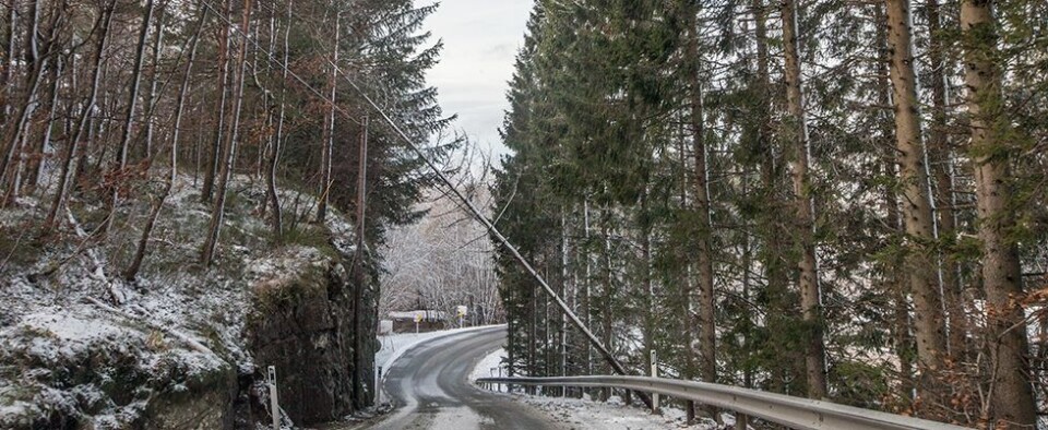 Vinterføre hele uka