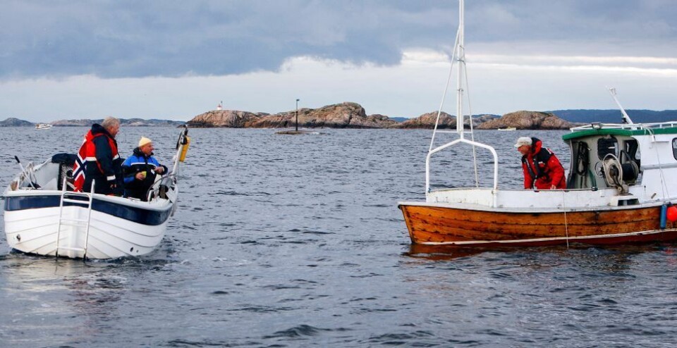 Grå start på hummerfisket
