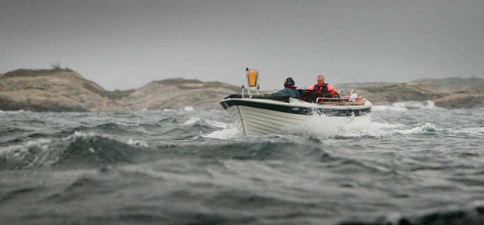 Grå start på hummerfisket