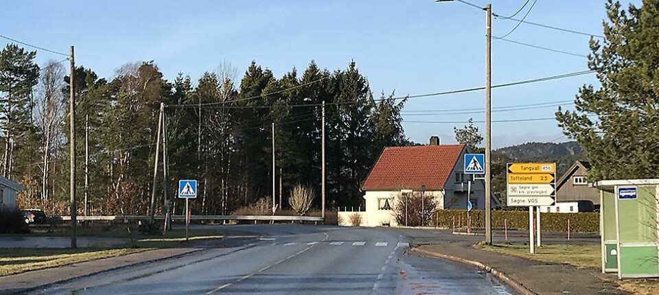 Fylkesveier 2019: - Flere intensivbelyste gangfelt, ingen forsering av Hølleveien