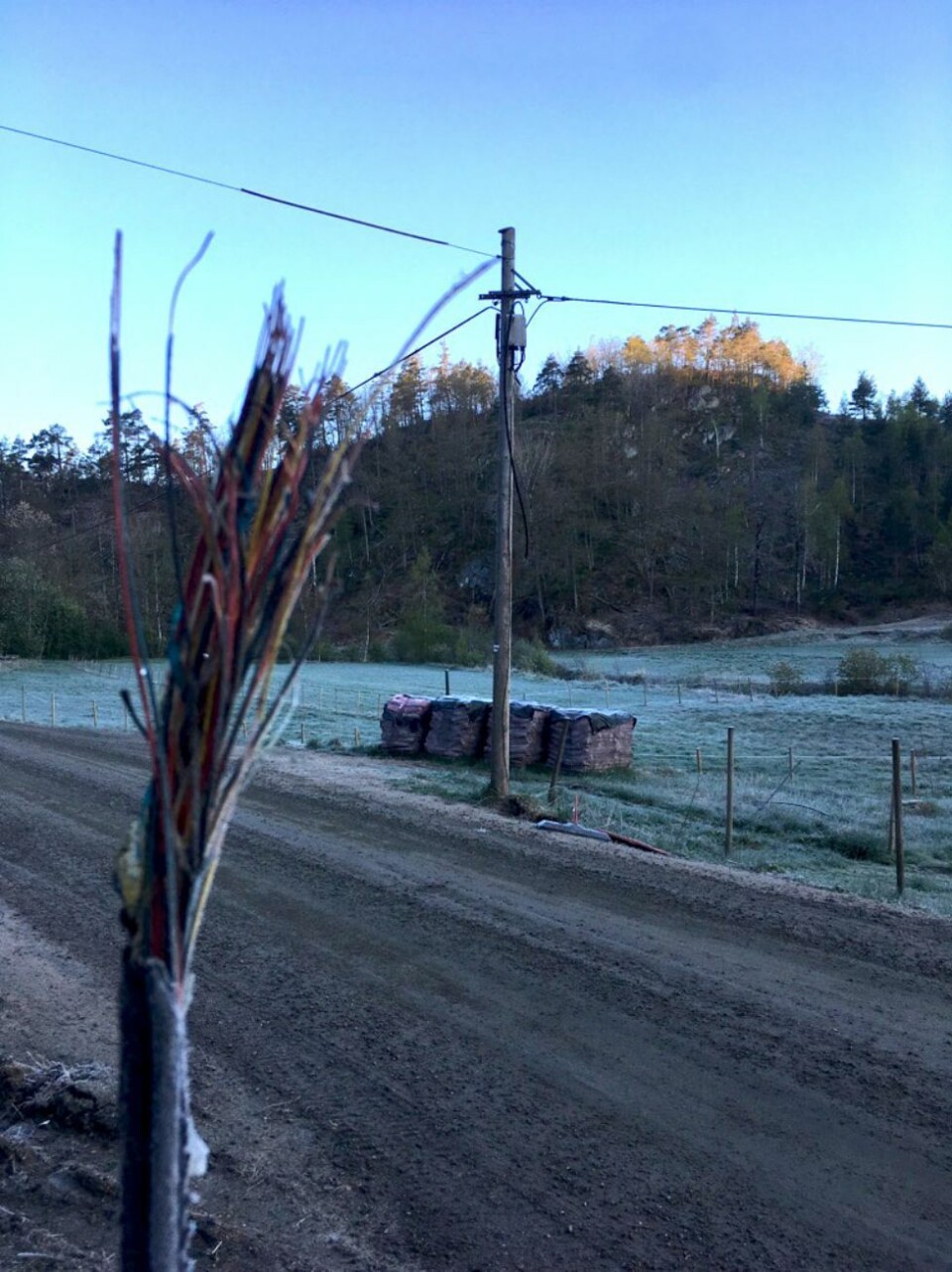 Telenor: - Feilretting skal ikke ta så lang tid som dette