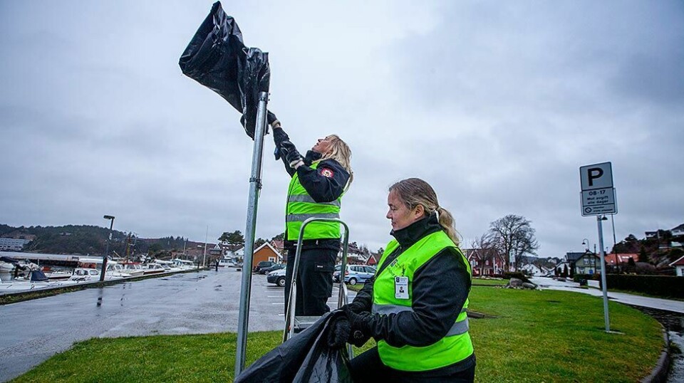 Foreslår igjen avgiftsparkering på Høllebrygga