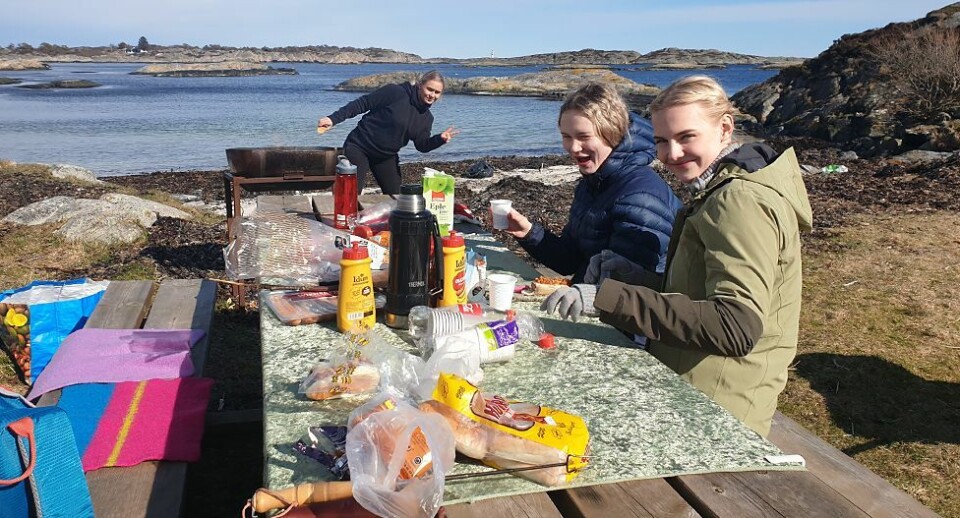 Flekkerøy: Fire kusiner fjernet tang og søppel fra Bestemorsmed