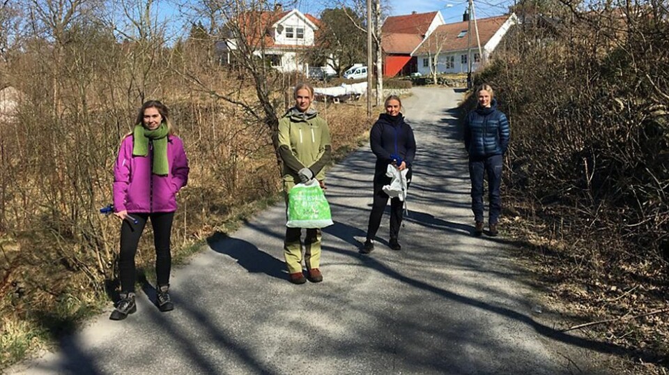 Flekkerøy: Fire kusiner fjernet tang og søppel fra Bestemorsmed