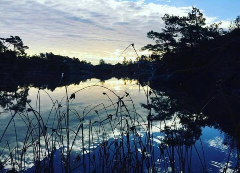 Se lesernes flotte høstbilder