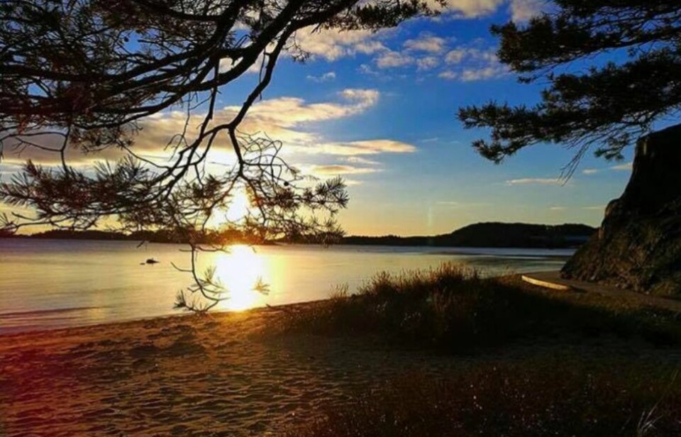 Se lesernes flotte høstbilder