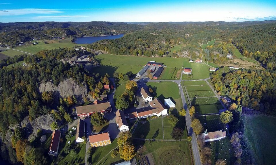 43 vil ha lederjobb