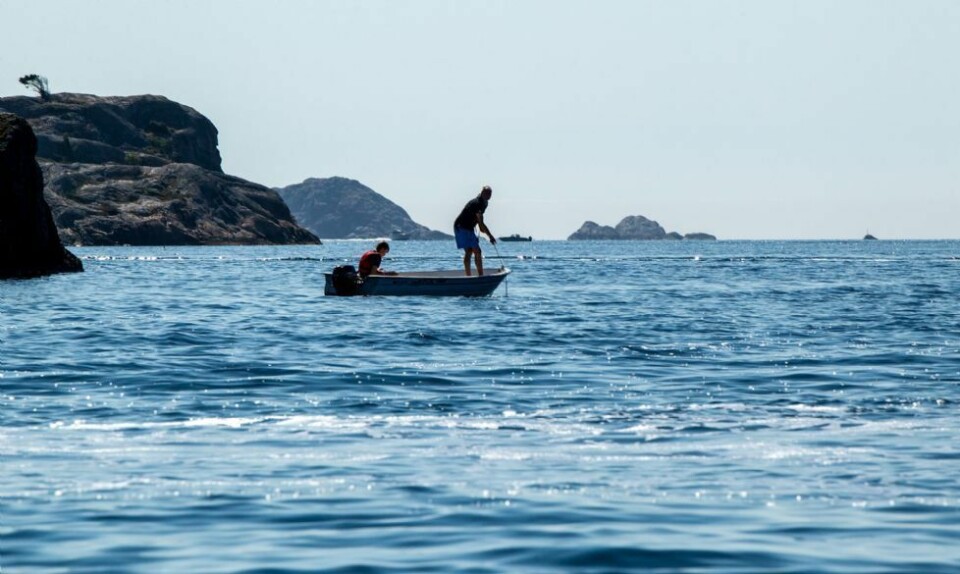 Hit skal nordmenn på Norgesferie i sommer