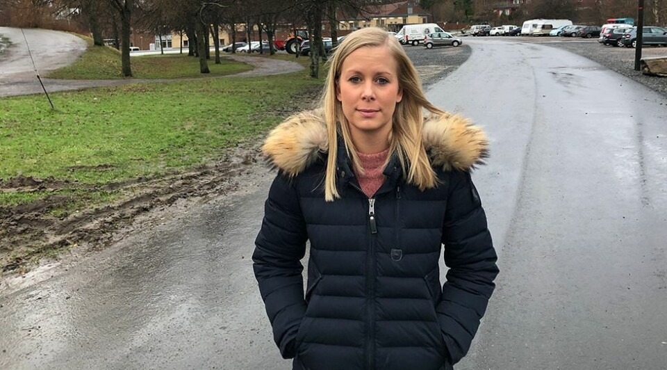 Ble frastjålet ferdigpyntet juletre