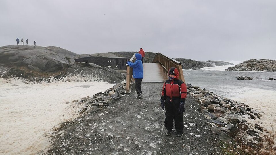 Til knes i skum på Flekkerøy