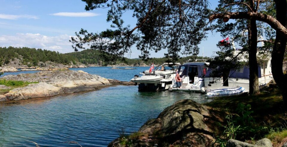 Grillmat til alle