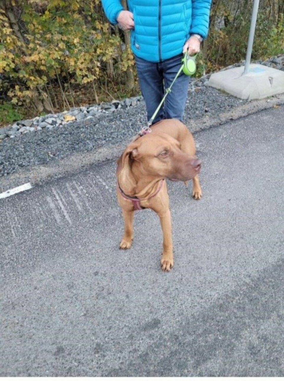 Går ut med navn og bilde av den savnede