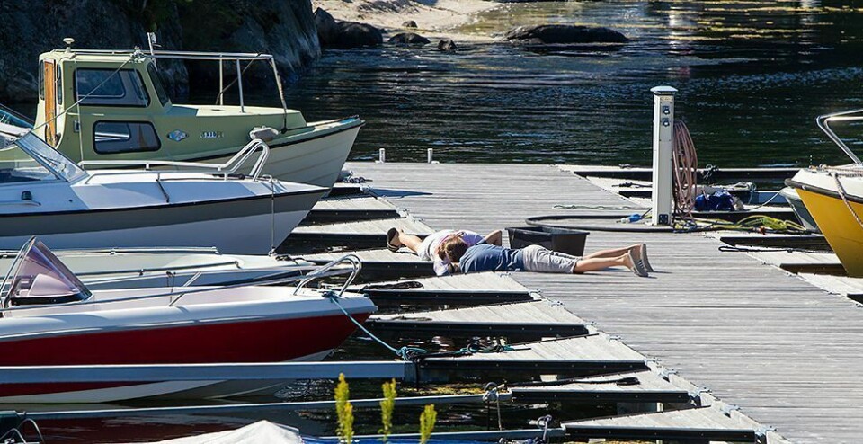 Melder sommervær lørdag