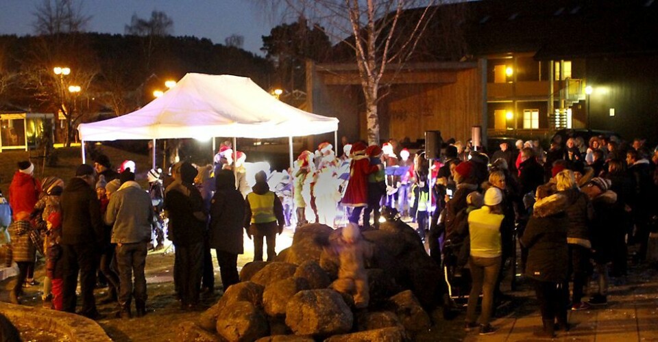 Julegrana tent på Nodeland søndag