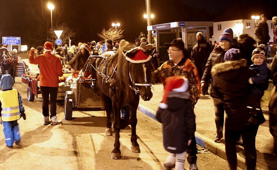 Julegrana tent på Nodeland søndag
