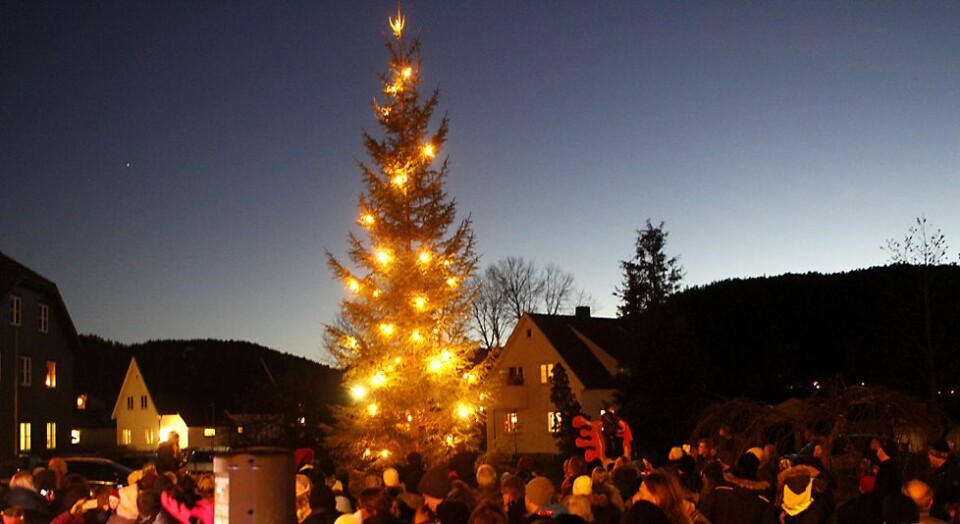 Julegrana tent på Nodeland søndag