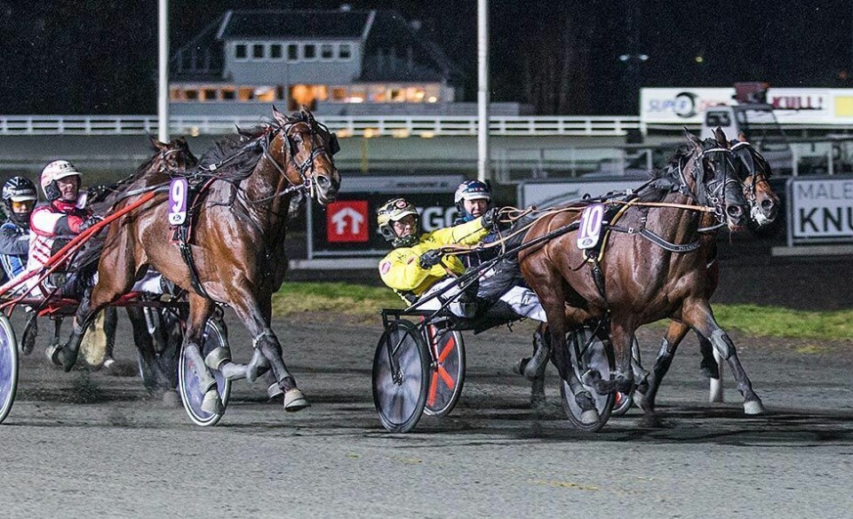 Årets hesteeier: Hyllet travsporten i takketale